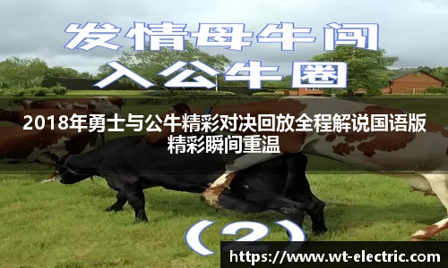 2018年勇士与公牛精彩对决回放全程解说国语版精彩瞬间重温